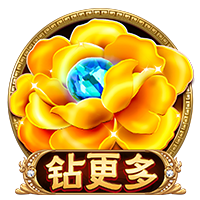 私密视频播放器单机版